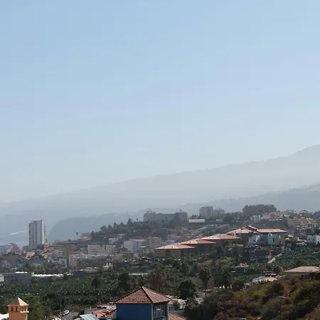 Frailes * Puerto de la Cruz (Tenerife)
